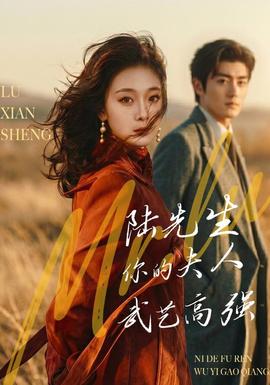 陆先生，你的夫人武艺高强 海报