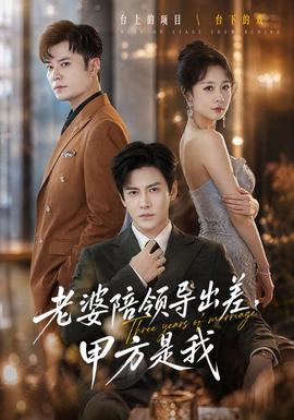 老婆陪领导出差，甲方是我 海报