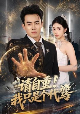 请自重！我只是个代驾 海报