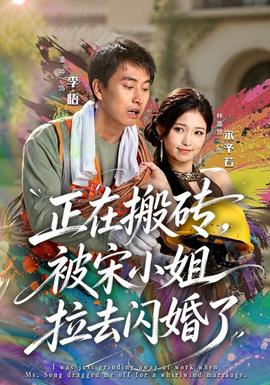 正在搬砖，被宋小姐拉去闪婚了 海报