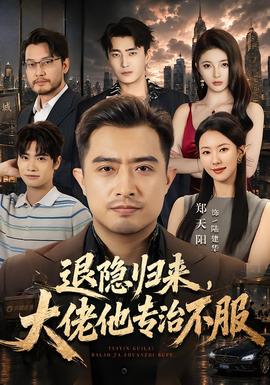 退隐归来，大佬他专治不服 海报