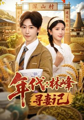 年代：林峰寻妻记 海报