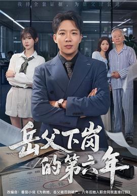 岳父下岗的第六年 海报