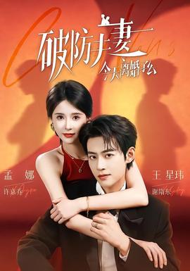 破防夫妻今天离婚了么 海报