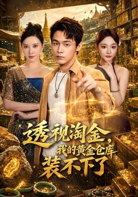 透视淘金，我的黄金仓库装不下了 海报