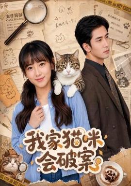 我家猫咪会破案 海报