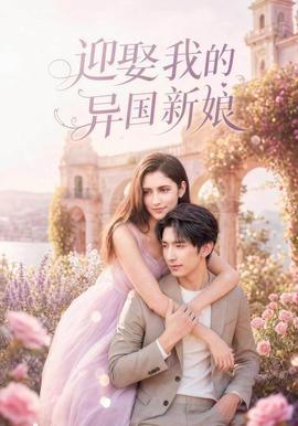迎娶我的异国新娘 海报