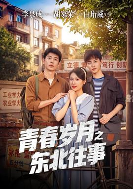 青春岁月之东北往事 海报