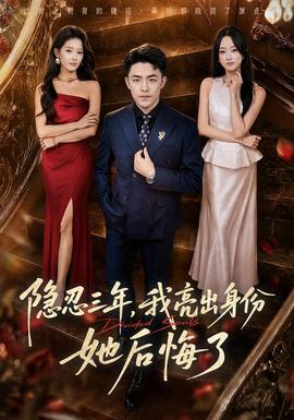 隐忍三年，我亮出身份她后悔了 海报