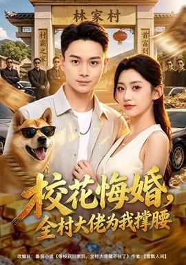 校花悔婚，全村大佬为我撑腰 海报
