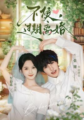 不候，过期离婚 海报