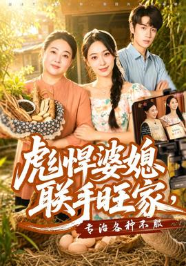 彪悍婆媳联手旺家，专治各种不服 海报