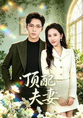 顶配夫妻 海报