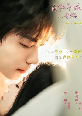 向阳予婉小青梅 海报