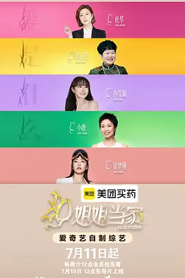 姐姐当家2 海报