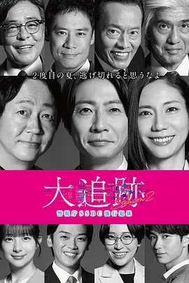 大追踪?警视厅SSBC强行犯系? 第二季 海报