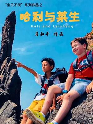 哈利与莱生 海报