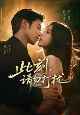 此刻，请勿打扰 海报