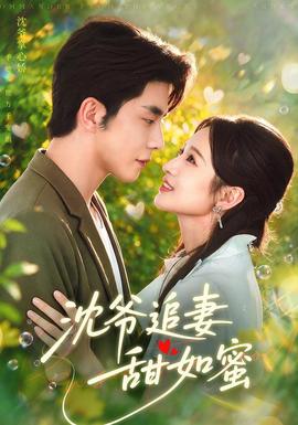 沈爷追妻甜如蜜 海报