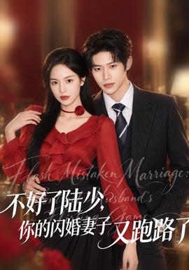 不好了陆少，你的闪婚妻子又跑路了 海报