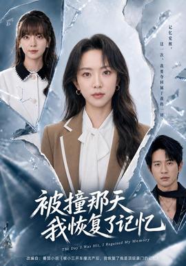 被撞那天我恢复了记忆 海报
