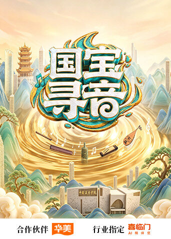 国宝寻音 海报