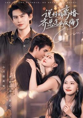 说好的离婚齐总怎么反悔了 海报
