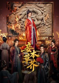 妾本草芥 海报