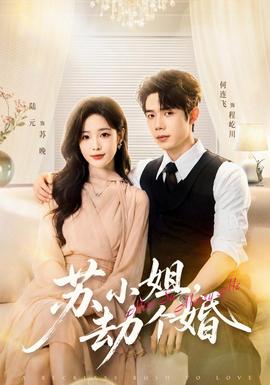 苏小姐，劫个婚 海报