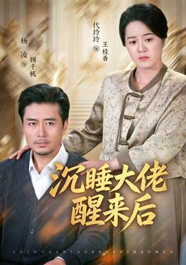 沉睡大佬醒来后 海报