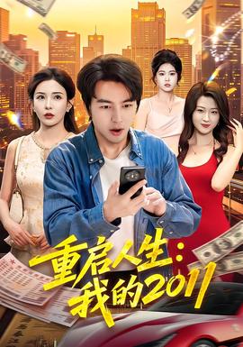 重启人生：我的2011 海报
