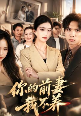 你的前妻我不养 海报