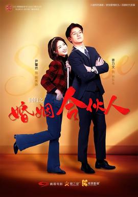 回归之婚姻合伙人 海报