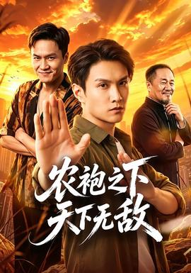 农袍之下天下无敌 海报
