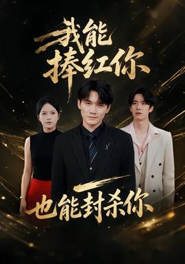 我能捧红你，也能封杀你 海报