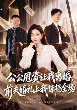 公公甩资让我离婚，前夫婚礼上我惊艳全场 海报