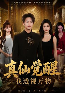 真仙觉醒，我透视万物 海报