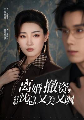 离婚撤资，清醒沈总又美又飒 海报