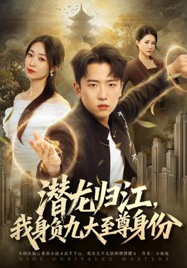 潜龙归江，我身负九大至尊身份 海报