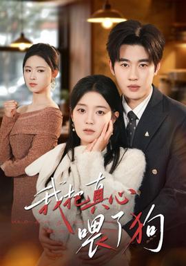 我把真心喂了狗 海报