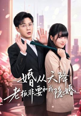 婚从天降老板非要和我隐婚 海报