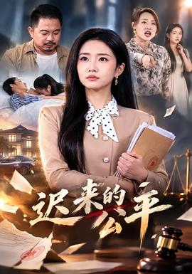 迟来的公平 海报
