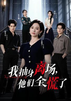 我抽身离场，他们全慌了 海报