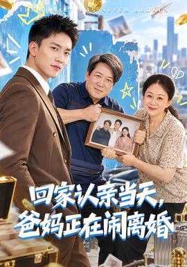回家认亲当天，爸妈正在闹离婚 海报