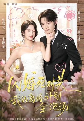 闪婚死对头，我的离婚计划全泡汤 海报