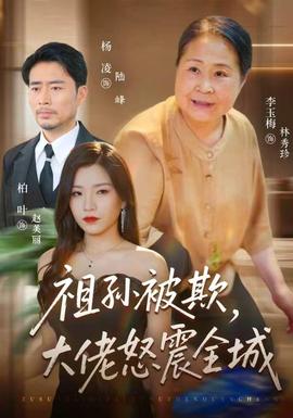 祖孙被欺，大佬怒震全城 海报