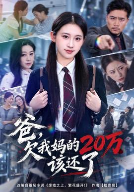 爸，欠我妈的20万该还了 海报